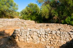 Visita al sito archeologico di Cosa in Maremma, vicino ad Ansedonia