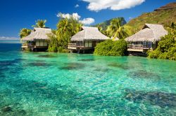 Bora Bora, Polinesia Francese: i bungalows di un resort sbucano dalla vegetazione tropicale e si affacciano proprio sulle acque turchesi del Pacifico, all'interno della laguna - © Martin ...