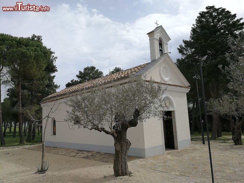 Immagine Pietrelcina, la chiesetta di San Francesco a Piana Romana. Questo luogo sacro è stato costruito nel 1958 nel luogo dove il santo amava raccogliersi in preghiera in una piccola capanna di paglia.