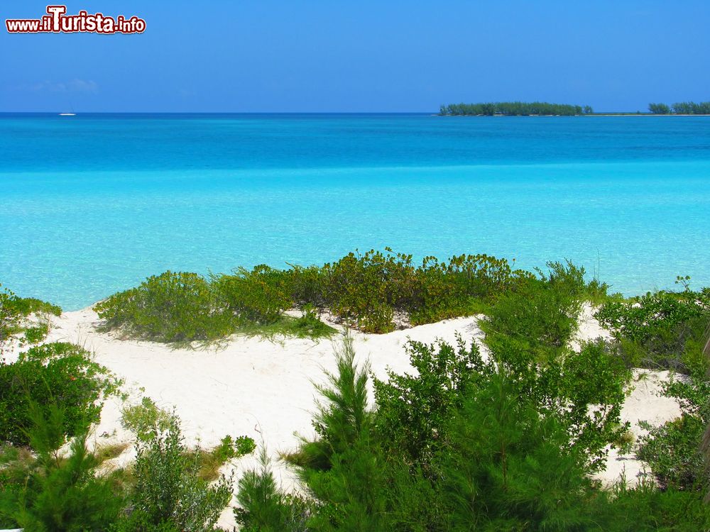 Immagine Le dune di sabbia bianca e il mare cristallino nei pressi di Playa Pilar a Cayo Guillermo, Cuba