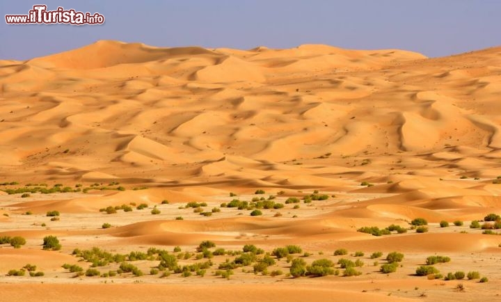 Immagine Un wadi nel Rub al-Khali o "Quarto vuoto". A cavallo tra Oman, Arabia Saudita, Emirati Arabi Uniti e Yemen , questo è il più grande deserto di sabbia in tutto il mondo. - © David Steele / Shutterstock.com