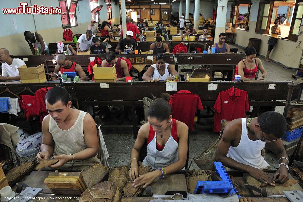 Immagine Interno della Real Fàbrica de Tabacos Partagàs, nel centro dell'Avana, dove vengono prodotti a mano i fmosi sigari cubani. L'azienda fu fondata nel 1845 - © T photography / Shutterstock.com