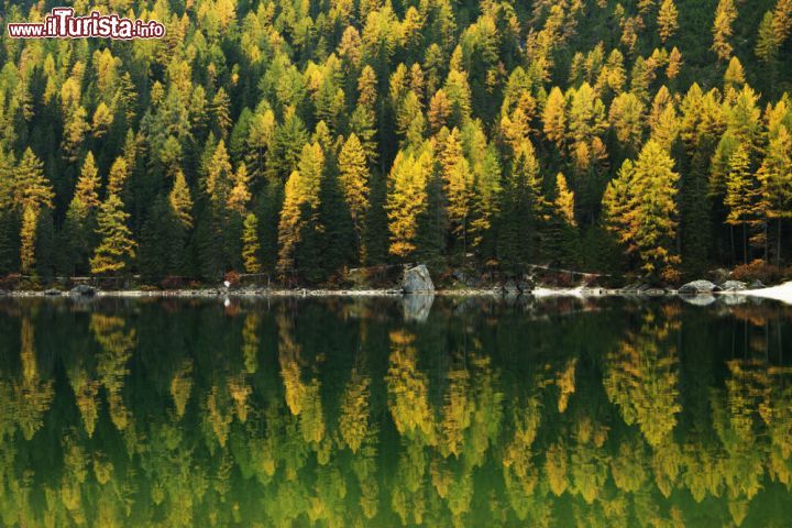 Immagine Riflessi autunnali sulle sponde del Lago di Braies, sulle Dolomiti in Alto Adige - © RomanSlavik.com / Shutterstock.com