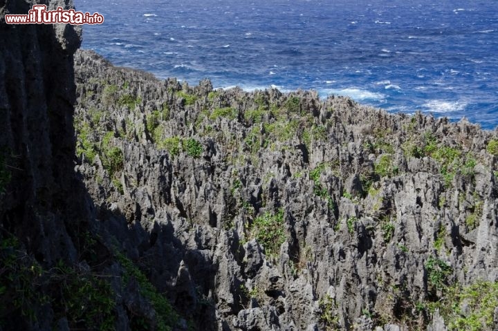 Immagine Sul lato orientale dell'isola di Niue si trova una vasta area di rocce coralline fossili, erose dall'azione del mare in una "foresta" di punte pietrificate. - @ Chris Burt / iStockphoto LP.