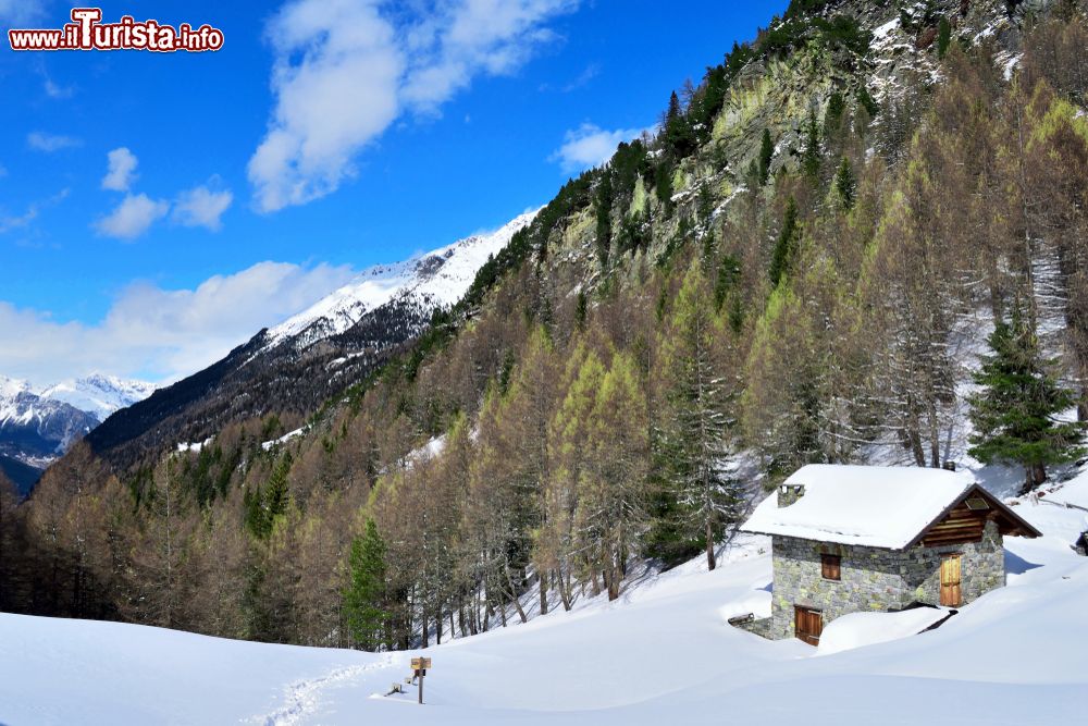 Immagine Scorcio invernale delle montagne nei pressi di Sondalo, Valtellina (Lombardia).