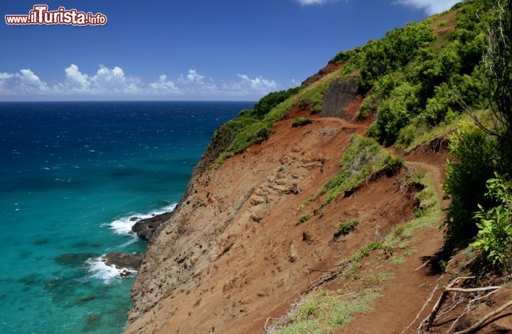 Immagine Sentiero verso la spiaggia di Hanakapiai isola di Kauai, Hawaii