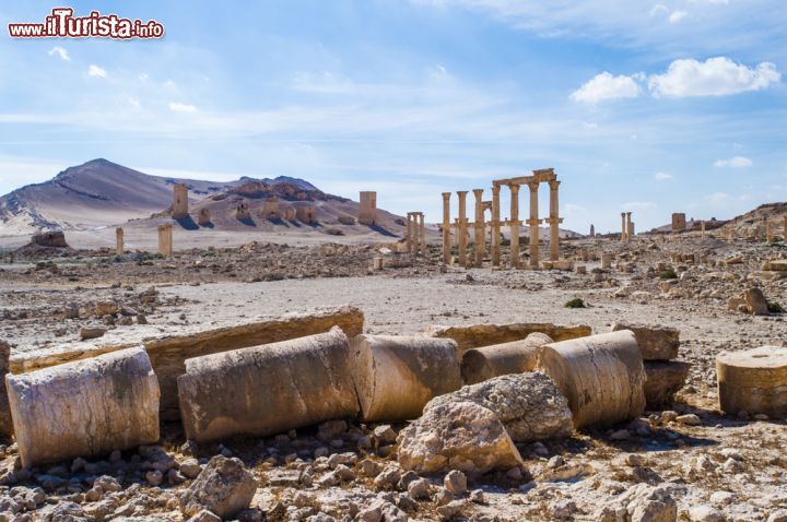 Immagine Una colonna abbandonata, siamo nel sito archeologico di Palmira, in Siria - © Anton_Ivanov / Shutterstock.com