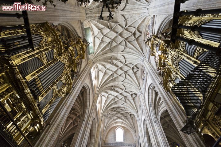 Immagine Interno della cattedrale di Segovia, Spagna - Lo splendido soffitto e l'organo della cattedrale di Segovia, una delle più maestose di Spagna costruita in stile tardogotico fra il 1525 e il 1725. E' anche chiamata la "Signora delle Cattedrali" © ribeiroantonio / Shutterstock.com