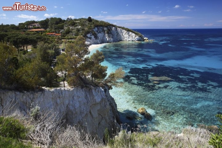 Immagine La bellissima spiaggia della Padulella, si trova non distante da Portoferraio, all'isola d'Elba - © Agenzia per il Turismo dell'Arcipelago Toscano /  www.aptelba.it