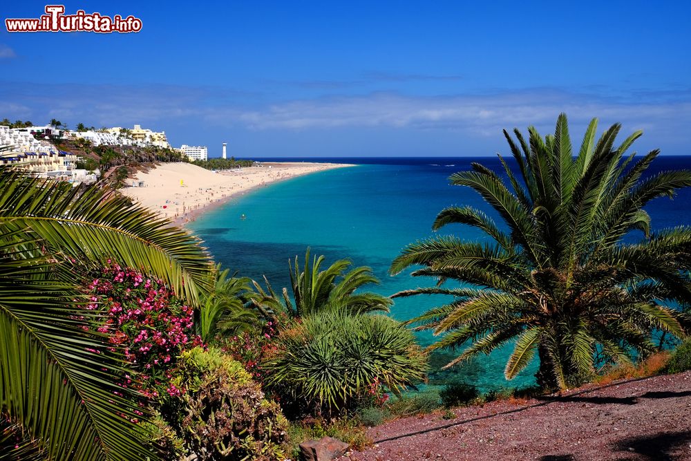 Immagine La spiaggia di Morro Jable sull'isola di Fuerteventura è una delle mete turistiche più apprezzate delle Canarie (Spagna).