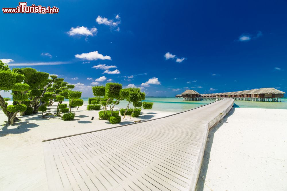 Immagine La spiaggia del Lux Maldives Resort presso l'atollo di Ari Sud, Maldive - foto © Shutterstock.com