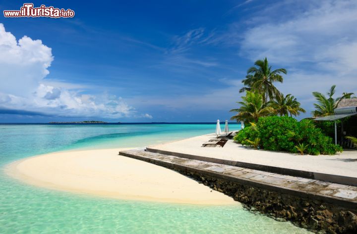 Immagine Una spiaggia lambita dal mare cristallino dell'Atollo di Malé Sud, isole Maldive, Oceano Indiano  - foto © Shutterstock.com