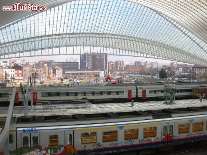 Immagine Stazione ferroviaria di Liegi realizzata dall'architetto spagnolo  Santiago Calatrava. La sua forma ricorda quella di una gigantesca razza