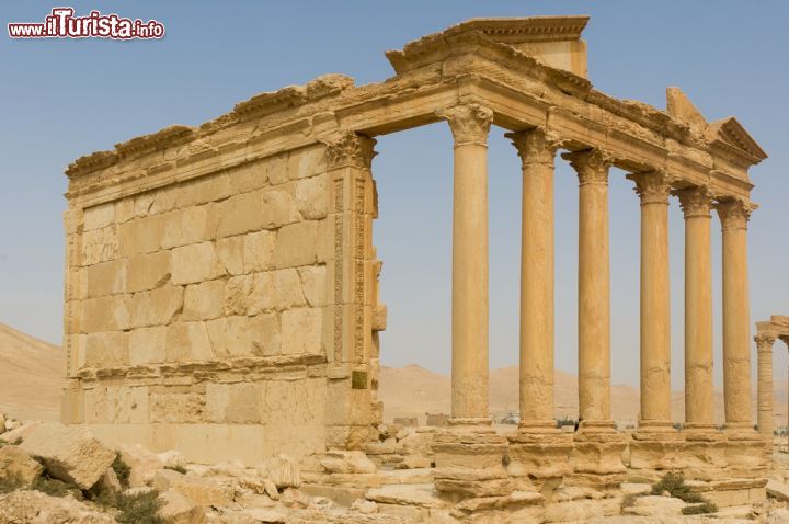 Immagine La visita al sito archeologico di Palmira - © Michal Szymanski / Shutterstock.com
