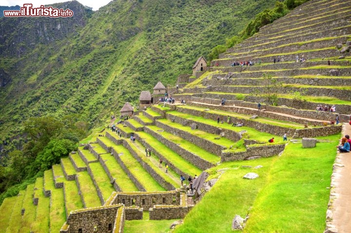 Immagine Terrazzi di Machu Picchu, Peru - Considerata la più importante testimonianza di architettura precolombiana in America meridionale, Machu Picchu deve il suo nome ai termini quecha "machu", vecchio, e "pikchu" che significa imontagna. Costruito attorno al 1440 e rimasto abitato sino alla conquista spagnola del 1532, il sito è una delle sette nuove meraviglie del mondo moderno. I suoi terrazzamenti si presentano come grandi scale costruite sul lato della collina e sono formati da un muro di pietra con riempimento di altri materiali che ne facilitano il drenaggio - © klublu / Shutterstock.com