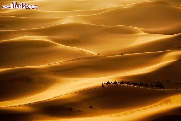 Immagine Tour sui cammelli da Merzouga nel deserto del Sahara, tra le dune dell'Erg Chebbi