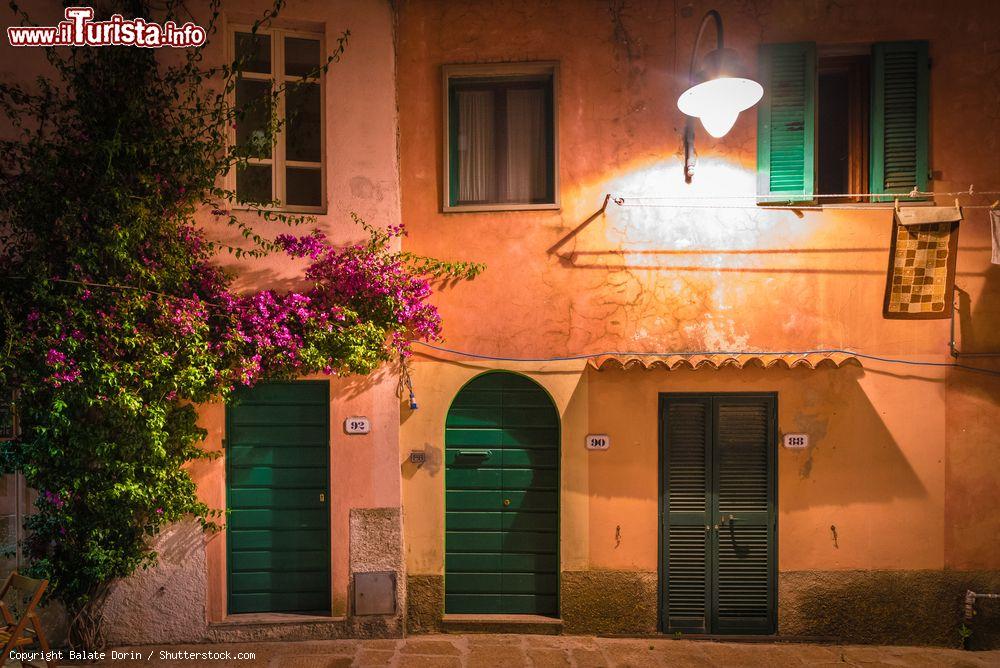 Immagine Una tradizionale casa del centro storico con fiori nel villaggio di Capoliveri, Isola d0Elba, Toscana - © Balate Dorin / Shutterstock.com