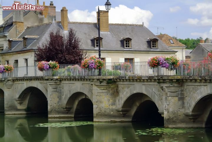 Immagine Scorcio panoramico su Valle della Loira, Azay-le-Rideau (Francia) - Per descrivere questo delizioso borgo appartenente al distretto di Indre-et-Loire, Balzac usò una metafora piuttosto significativa. La definì "diamante frammentario". Guardando l'immagine, si può anche capirne il motivo. Splendono i fiori che non solo decorano le ringhiere ma trasmettono anche allegria con i loro colori accesi e vivi. Stupenda l'acqua che scorre limpida e tranquilla come se avesse un appuntamento imperdibile ma non è in ritardo. Spumeggiante la lavanda che spicca nelle mura esterne delle case. Qui tutta l'atmosfera aulica contribuisce a creare uno scenario magico e fuori dal tempo - © David Hughes / Shutterstock.com