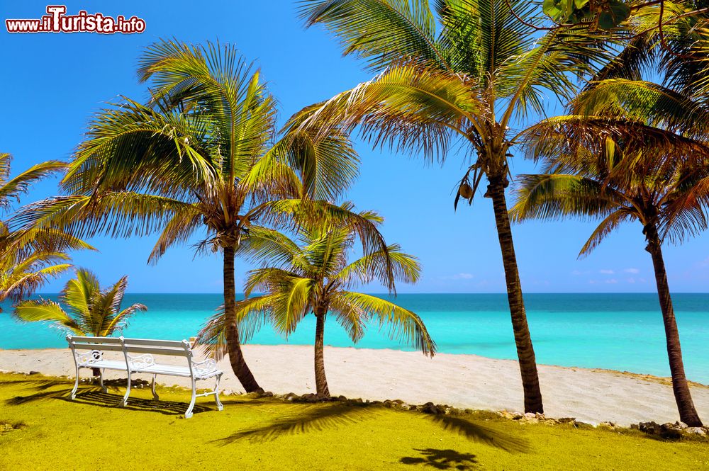 Immagine Lo scenario paradisiaco della spiaggia di Varadero (Cuba): acque turchesi dell'Oceano Atlantico, sabbia dorata e palme.