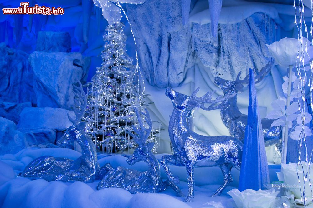 Immagine Il Villaggio di Babbo Natale da non perdere durante l'Avvento e le festività natalizie a Gattatico