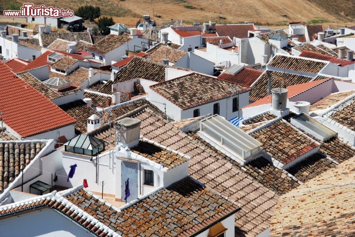 Immagine La vista dal castello dei tetti di Olvera: questo borgo dell'Andalusia (Spagna) si trova lungo la cosiddetta "ruta de los pueblos blancos" - © Philip Lange / Shutterstock.com