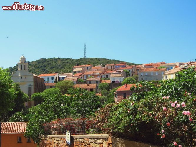 Immagine Vista panoramica del borgo di Cargese in Corsica