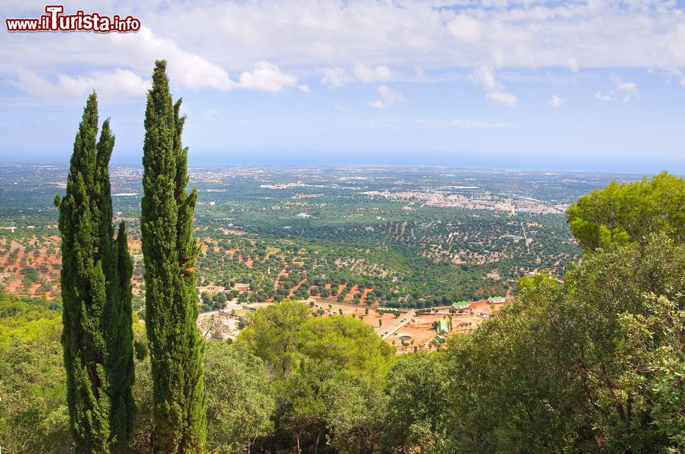 Immagine Vista panoramica di Fasano fotografata dalle murge pugliesi.