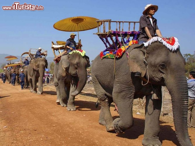 Immagine Elefanti in processione nel Laos, l'affascinante stato dell' Asia - Foto Giulio Badini