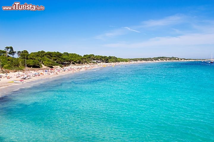 Immagine Ses Salinas la lunga spiaggia sabbiosa di Ibiza, isole Baleari - © holbox / Shutterstock.com