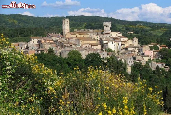 Immagine Il borgo toscano di San Casciano dei Bagni: la vista panoramica  delle colline del sud-est della Toscana, con fioritura di ginestre in primo piano - © Spano
