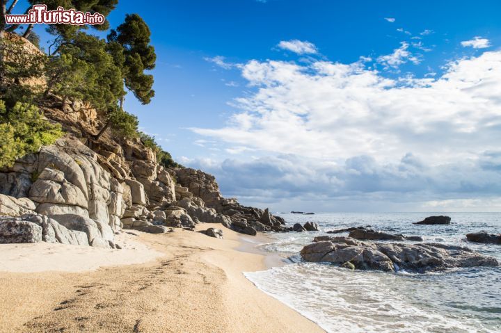 Immagine La spiaggia di Calonge, si trova a sud di Palamos in Costa Brava (Spagna) - © funkyfrogstock / Shutterstock.com