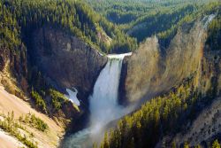 Il Grand Canyon dello Yellowstone termina con il grande salto delle Lower Falls, le cascate alte 94 metri e dotate di una portata incredibile - © ELegeyda / Shutterstock.com