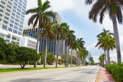 Lungomare a Miami Beach: Ocean Drive è probabilmente la strada più famosa di Miami Beach e corre lungo il quartiere di South Beach, alle spalle di una delle spiagge più ...