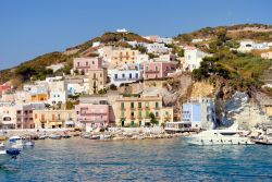 Panorama marina di Ponza isola Lazio - © claudio zaccherini / Shutterstock.com