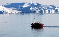 Peschereccio in Groenlandia tra i fiordi - Foto di Giulio Badini