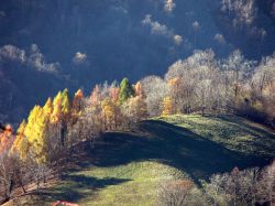 I boschi intorno a Sordevolo, fotografati in autunno