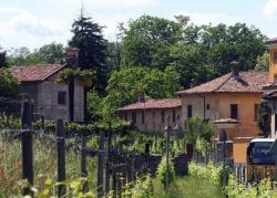Case e vigne in centro al borgo di Novazzano nel Canton Ticino- © Comune di Novazzano