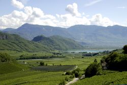 Foto panoramica del lago di Caldaro sulla Strada del Vino, Trentino Alto Adige. A fare da incantevole cornice è un paesaggio con vigneti e montagne - © Peter Probst / Shutterstock.com ...