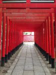 Il santuario Sanko Inari al castello di Inuyama, Giappone. Si trova presso l'entrata del parco della fortezza ed è conosciuto anche come Sarutahiko-jinja. E' un luogo di culto ...