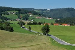 La strada che va da Koflach a Piber in Stiria, in una luminosa giornata estiva. - © Denis.Vostrikov / Shutterstock.com
