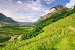 La valle del fiume Adige in corrispondenza della Chiusa di Salorno