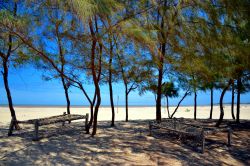 Ocean Beach Resort, Malindi (Kenya):si tratta di una struttura a 5 stelle ed è uno dei più prestigiosi resort della città di Malindi.