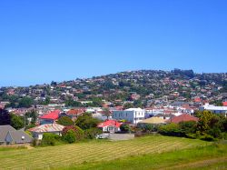 Area residenziale di Dunedin vista dalla collina della città, Isola del Sud, Nuova Zelanda - © Cloudia Spinner/ Shutterstock.com
