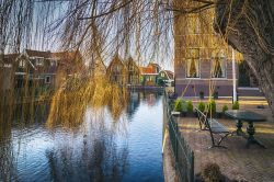 Paesaggio a Volendam, Olanda - Una bella immagine di un salice piangente che si riflette sulle acque che attraversano la città di Volendam che deriva il proprio nome dalla diga che nel ...