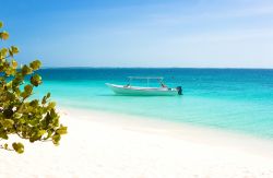 Spiaggia solitaria presso le isole Los Roques in Venezuela - © Dmitry Burlakov / Shutterstock.com
