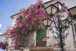 Architettura e strade fiorite a Marbella, Spagna. E' una delle città più importanti a livello turistico della Costa del Sol - © Fernando Cortes / Shutterstock.com