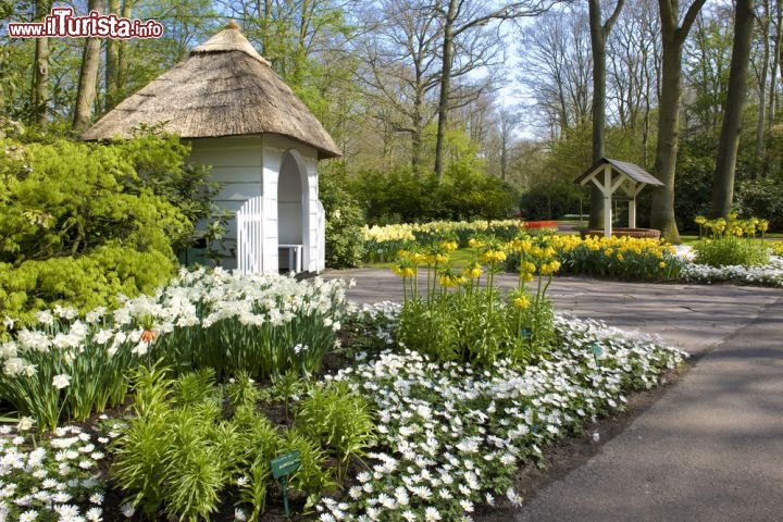 Immagine Visitando il parco-giardino di Keukenof a Lisse in Olanda - © PHB.cz (Richard Semik) / Shutterstock.com