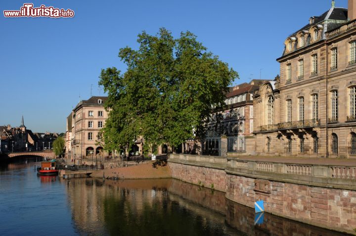 Immagine Le placide acque del fiume Ill affiancate dalla bella facciata di Palais Rohan a Strasburgo - © Pack-Shot / Shutterstock.com