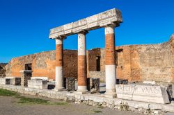 La cosa che rende unica Pompei, e la vicina Ercolano, è quella di avere ritrovato delle città romane che non hanno subito le modifiche della storia, dato che la loro esistenza ...