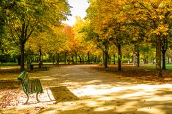 Berlin Grosser Tiergarten, il grande parco della capitale tedesca fotografato in autunno - © SP-Photo / Shutterstock.com